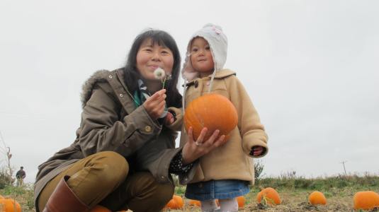 Pumpkin Picking at Cattows Farm